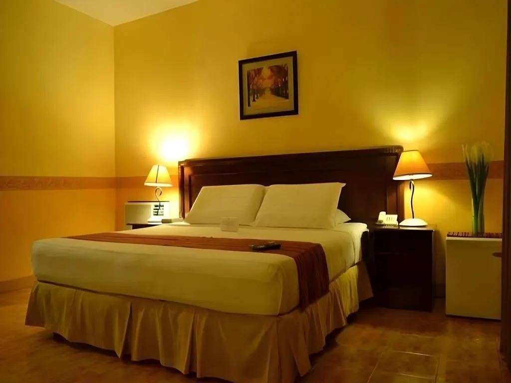 The Ritz Hotel At Garden Oases Davao 3*,